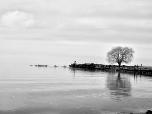 数年前に撮影したEdgewater Parkのビーチ。引っ越したら、この風景から遠くなりますなぁ。。。